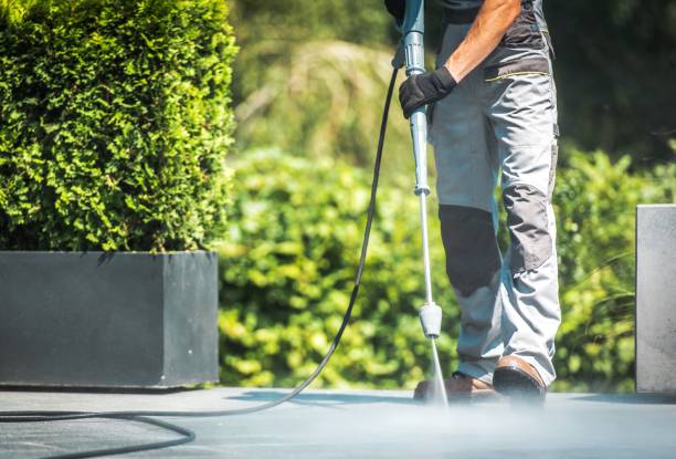 Best Post-Construction Pressure Washing  in Los Fresnos, TX