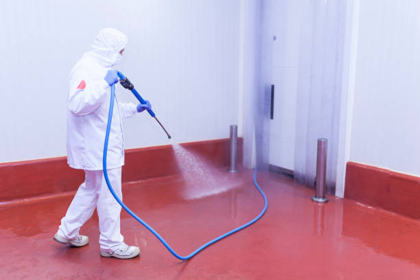 Best Patio and Deck Pressure Washing  in Los Fresnos, TX